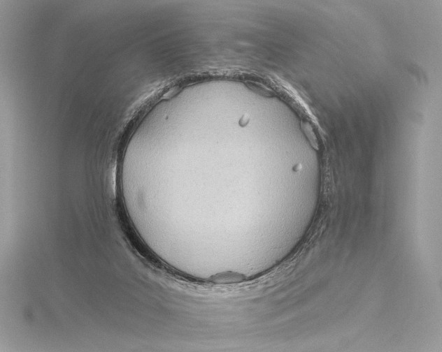 X0000115790019200912041522