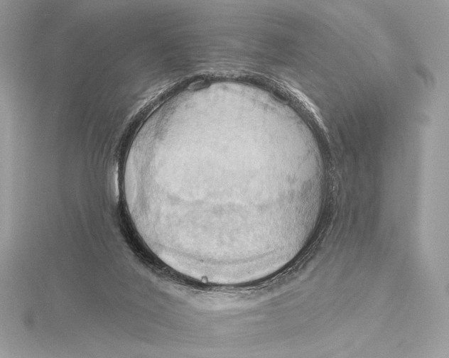 X0000115790020200912041522