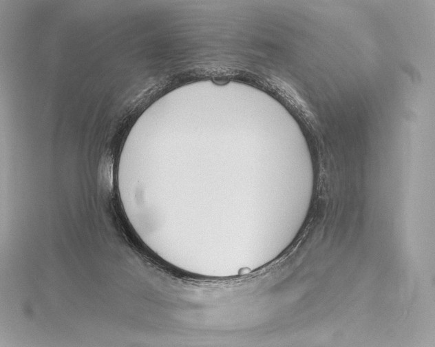 X0000115790021200912041522