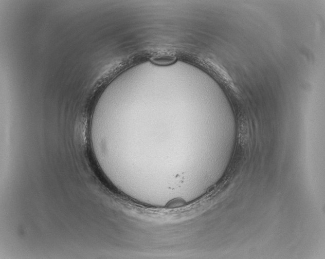 X0000115790023200912041522