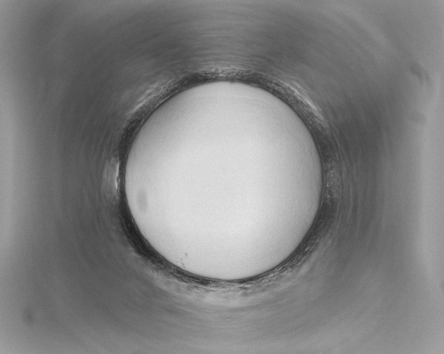 X0000115790024200912041522