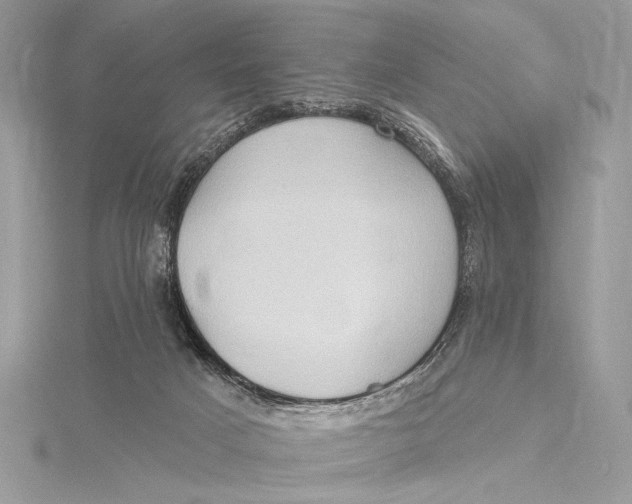 X0000115790025200912041522