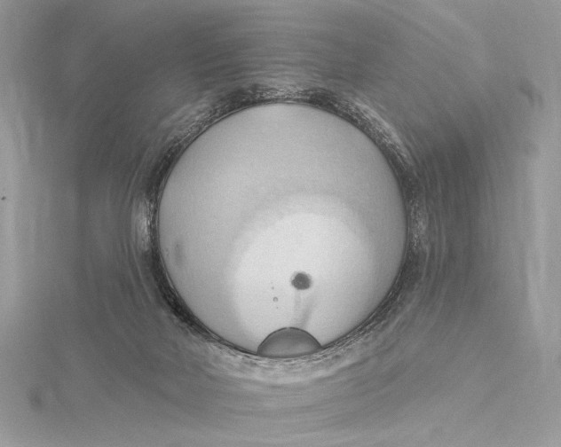 X0000115790026200912041522