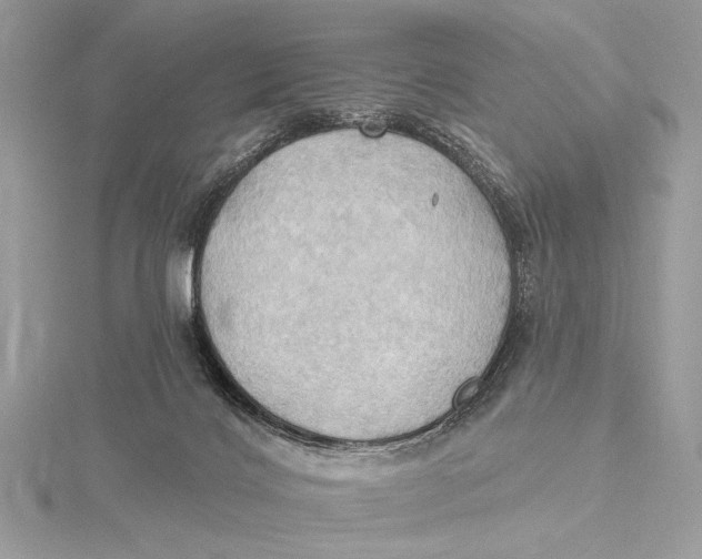 X0000115790028200912041522