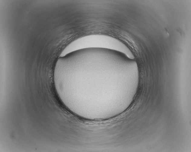 X0000115790029200912041522