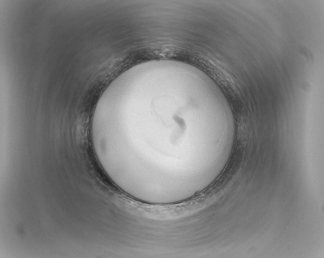 X0000115790030200912041522