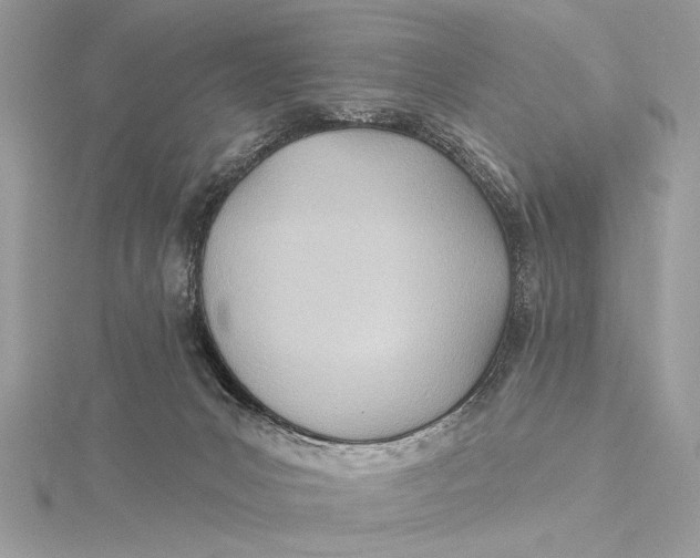 X0000115790031200912041522