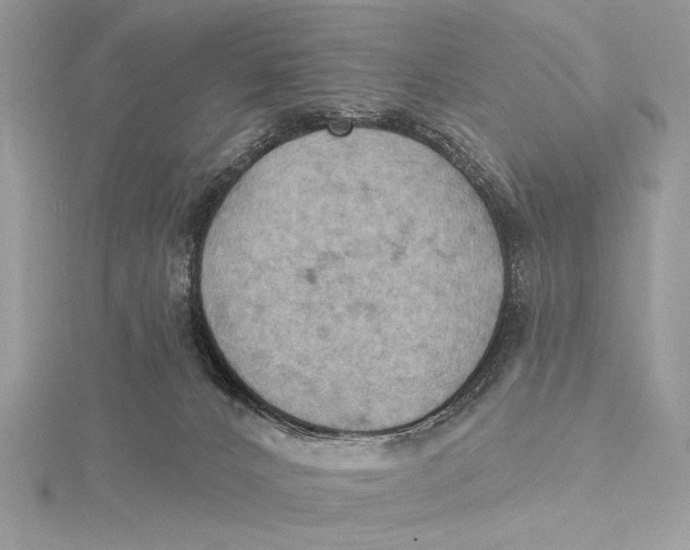 X0000115790032200912041522