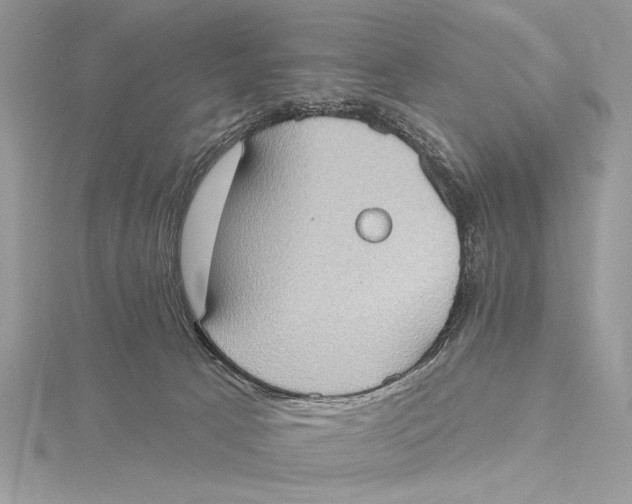 X0000115790033200912041522