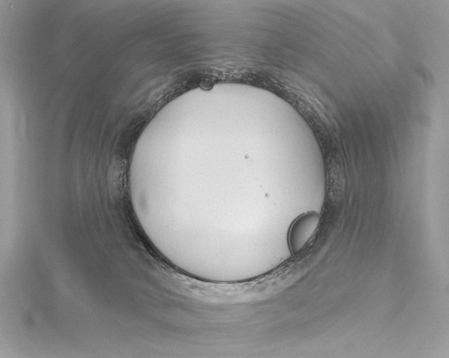 X0000115790034200912041522