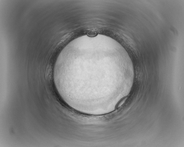 X0000115790036200912041522