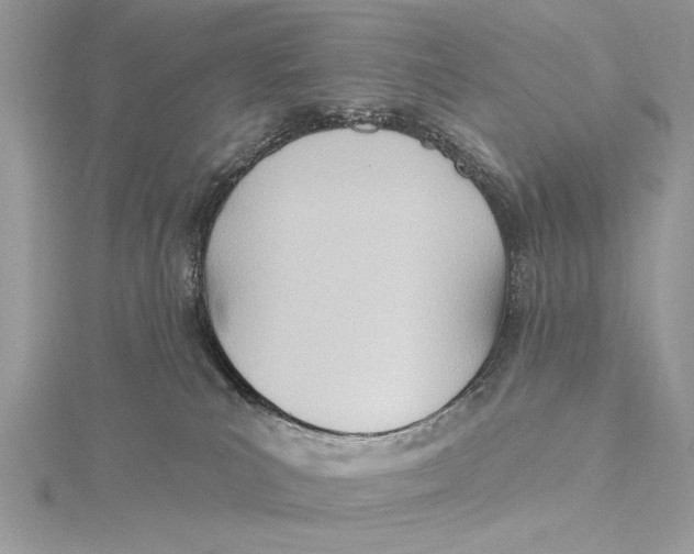 X0000115790039200912041522