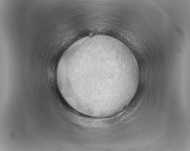 X0000115790040200912041522