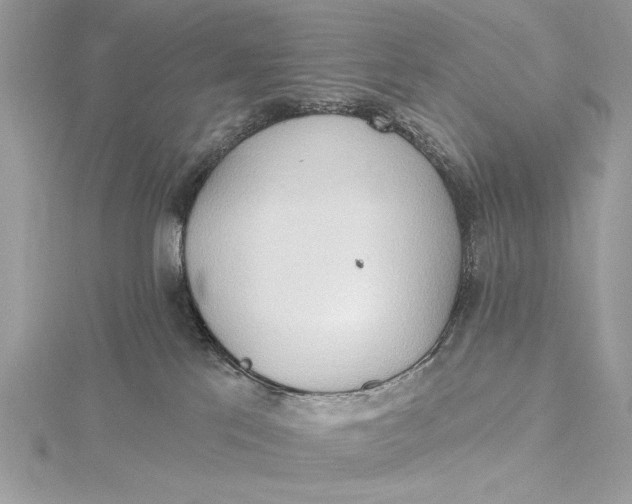 X0000115790041200912041522