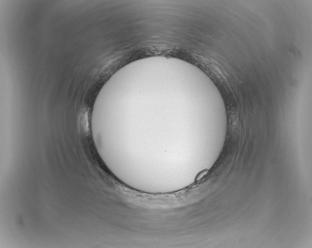 X0000115790042200912041522