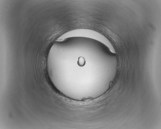 X0000115790043200912041522