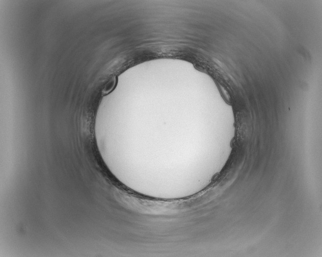 X0000115790044200912041522