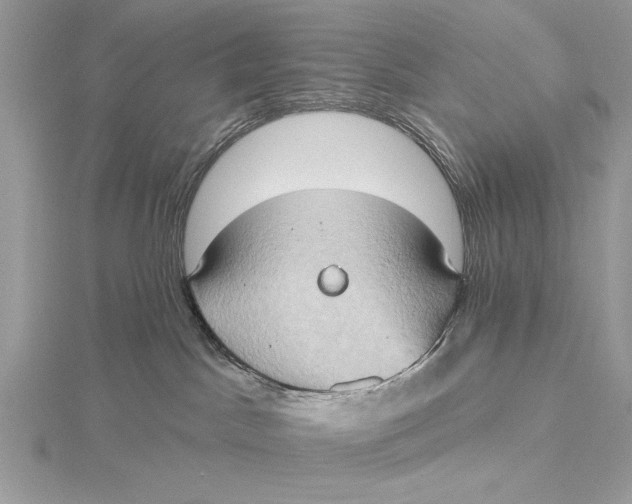 X0000115790045200912041522