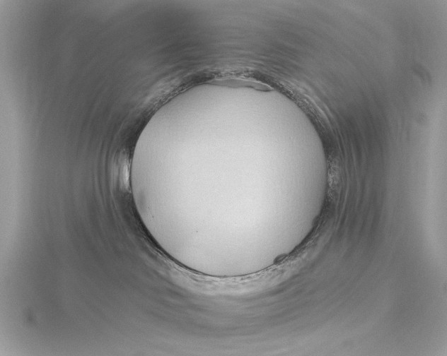 X0000115790046200912041522