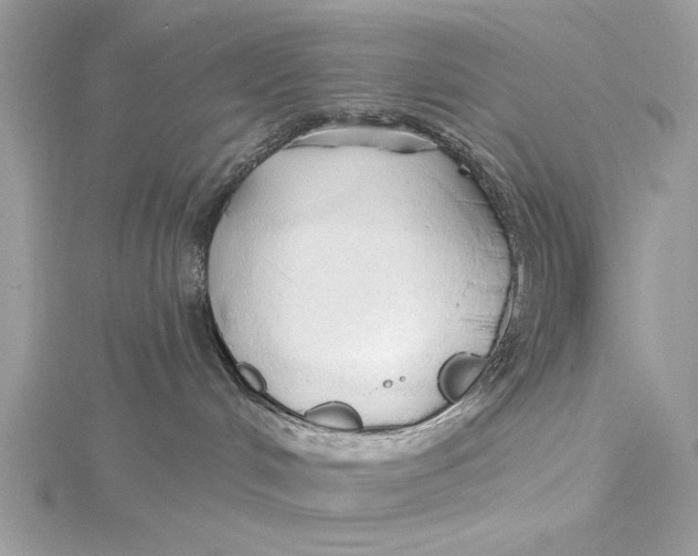 X0000115790048200912041522