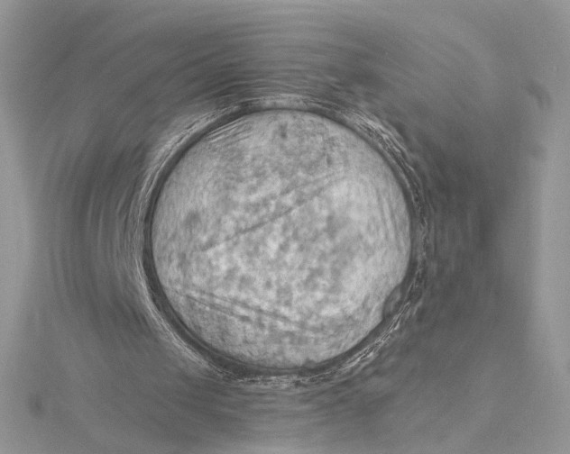 X0000115790049200912041521