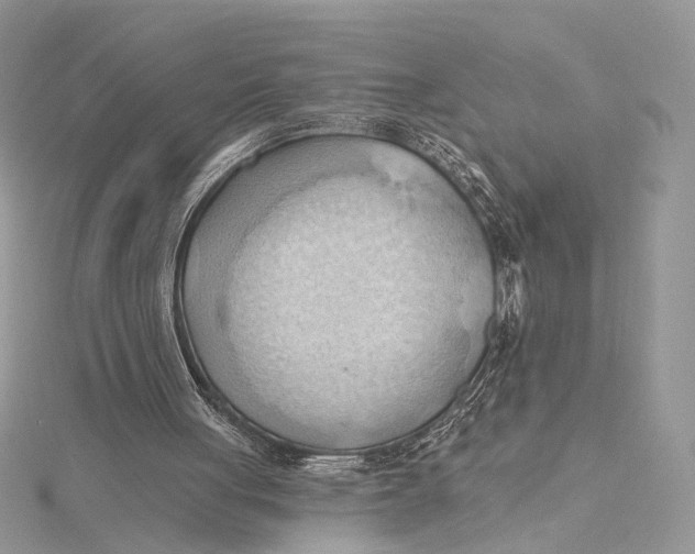 X0000115790051200912041521