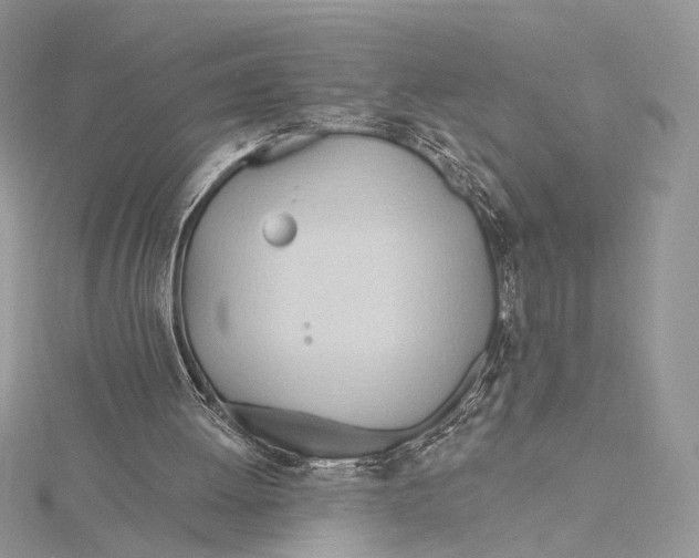 X0000115790052200912041521