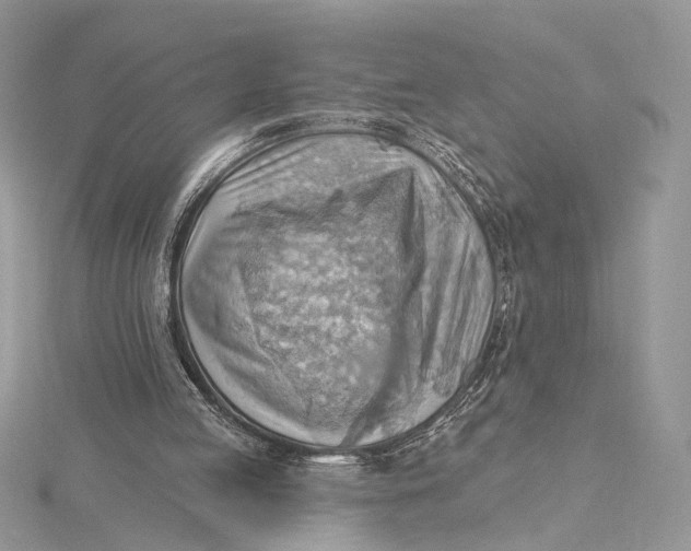 X0000115790053200912041521