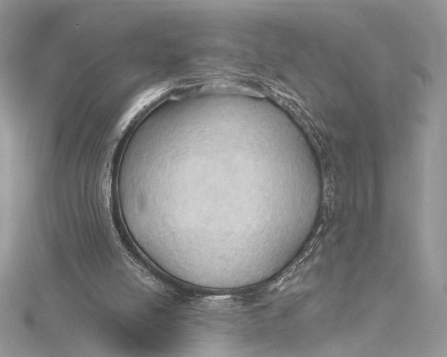 X0000115790054200912041521