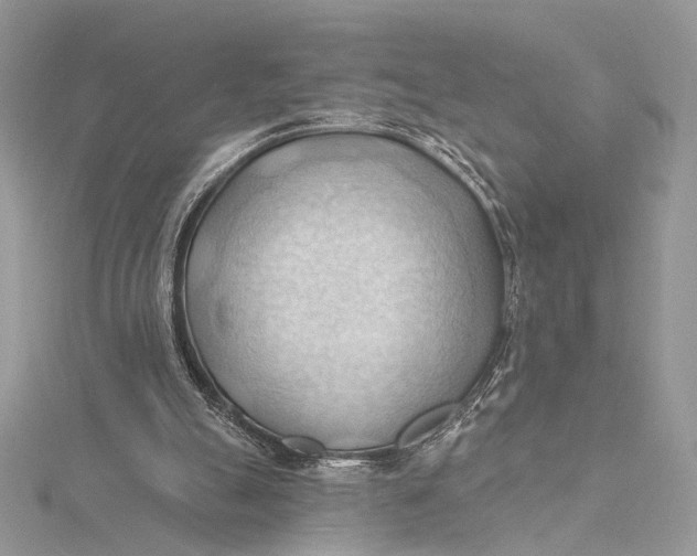 X0000115790055200912041521