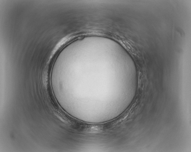 X0000115790056200912041521