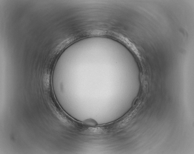 X0000115790057200912041521