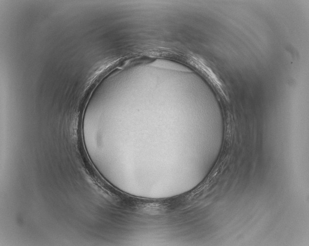 X0000115790058200912041521