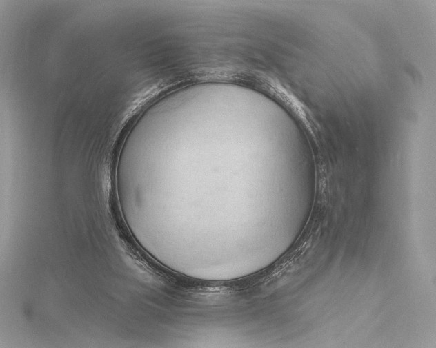 X0000115790059200912041521