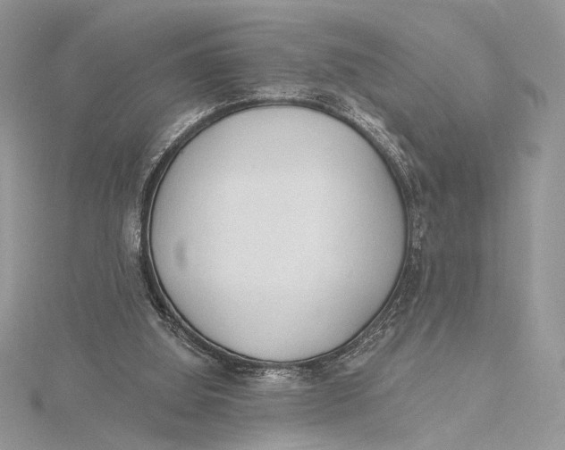 X0000115790060200912041521