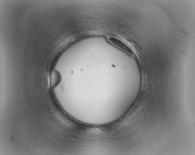 X0000115790061200912041521