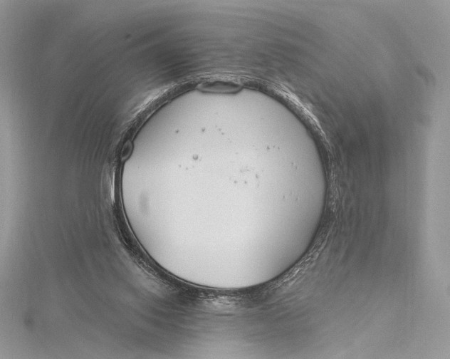 X0000115790062200912041521