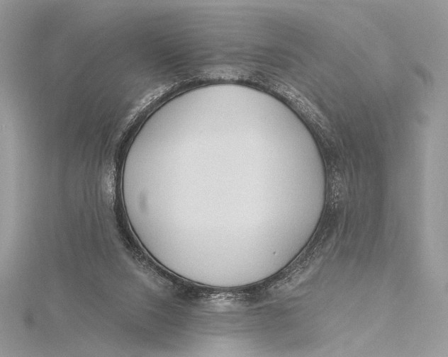 X0000115790064200912041521