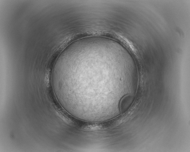 X0000115790065200912041521