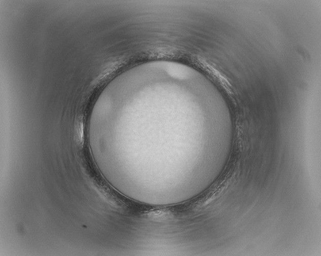 X0000115790067200912041521