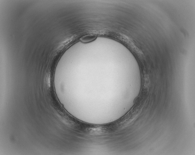 X0000115790068200912041521