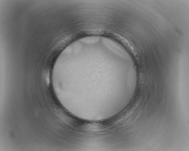 X0000115790069200912041521