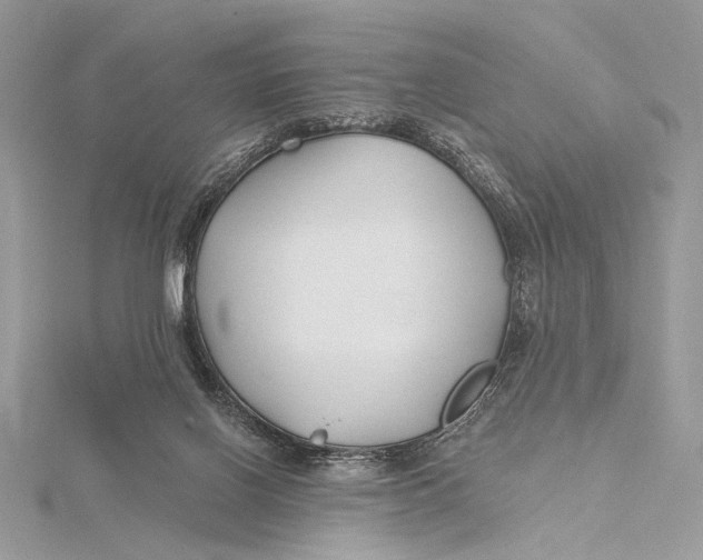 X0000115790070200912041521