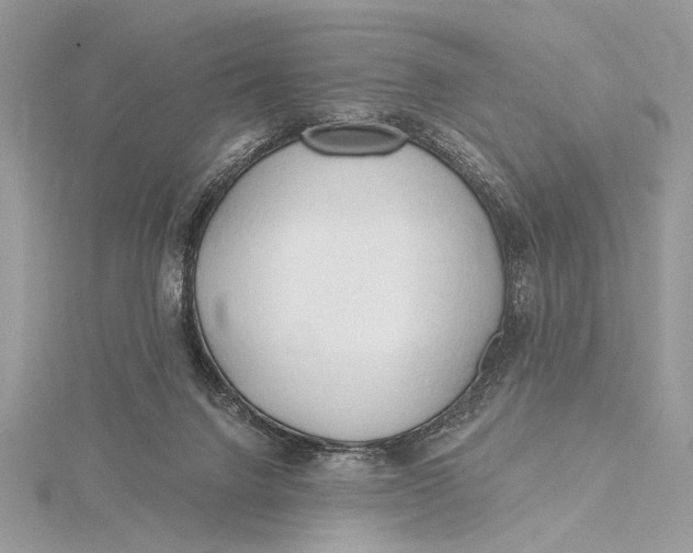 X0000115790072200912041521