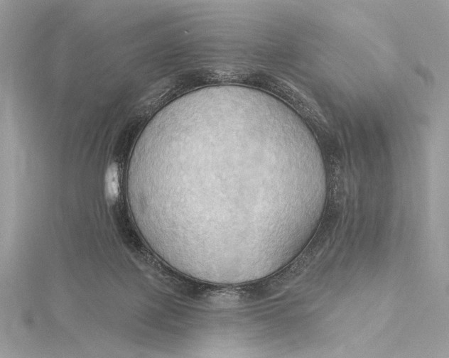 X0000115790075200912041521