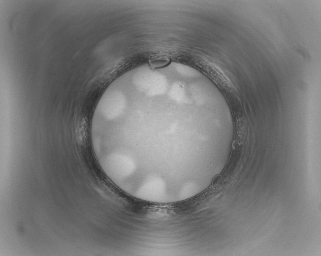 X0000115790077200912041521