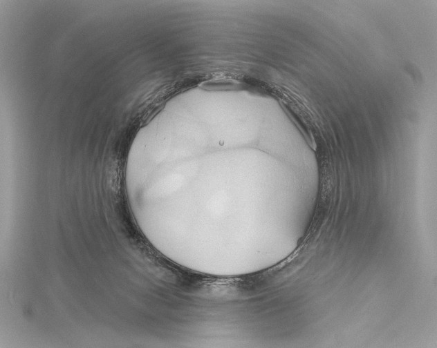 X0000115790078200912041521