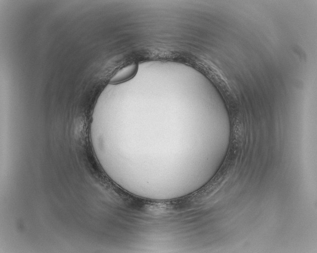 X0000115790079200912041521