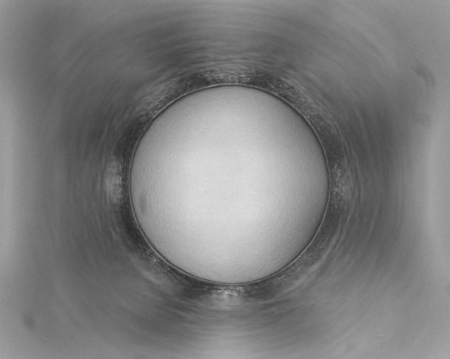 X0000115790080200912041521