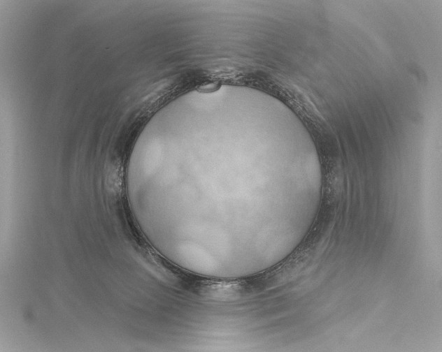 X0000115790081200912041521